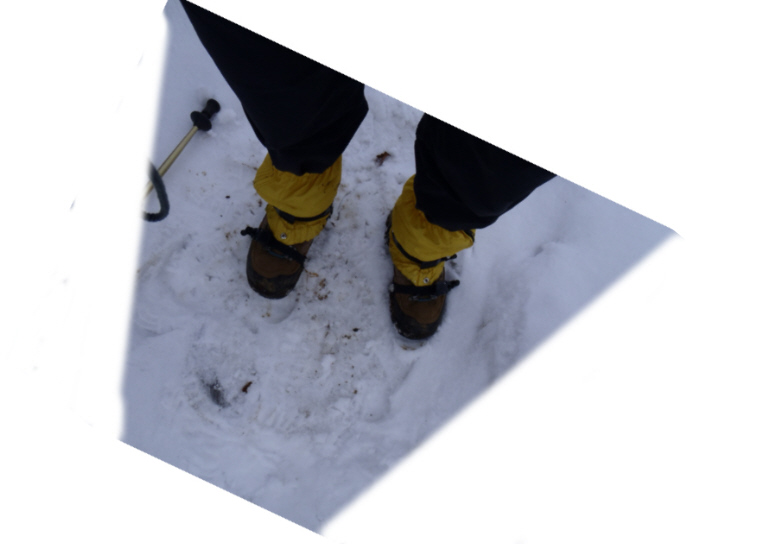 金時山から下山