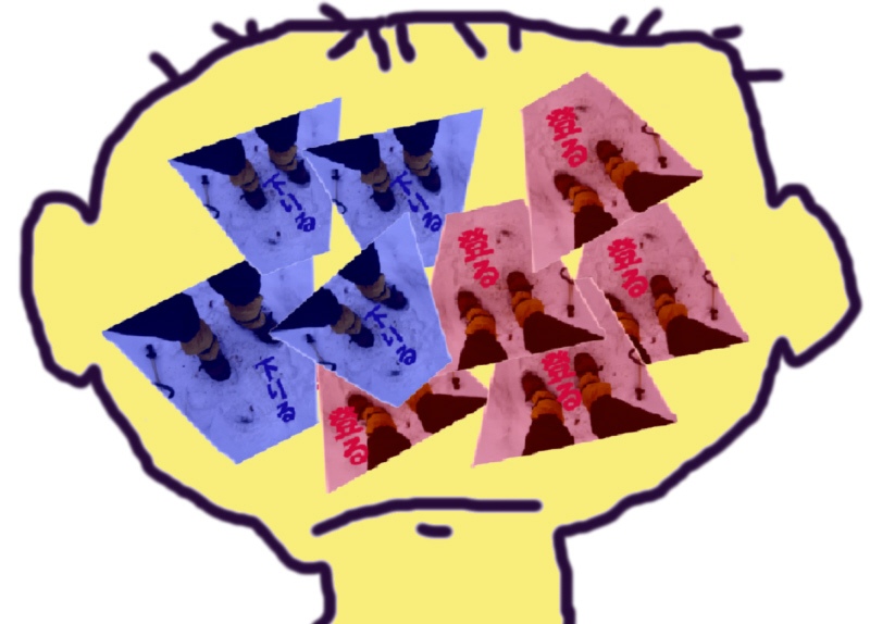 下りるか登るか