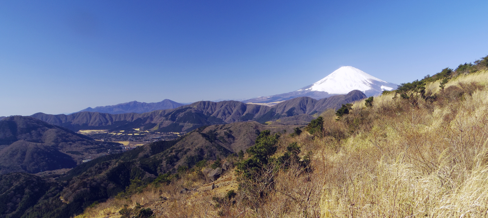 ���_���x�R���t�߂���̕x�m�R�@�@�@�@�@�@�@�@2015�N1��18���@11�F24�@�@