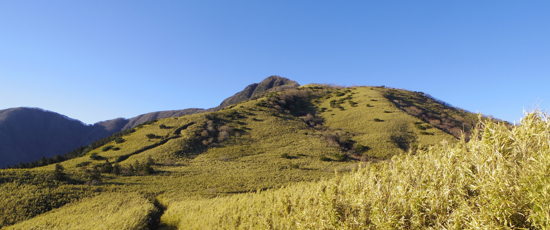 �ΑŐΊx-��q�򓻊Ԃ���̋����R�@2015�N1��18���@15:21