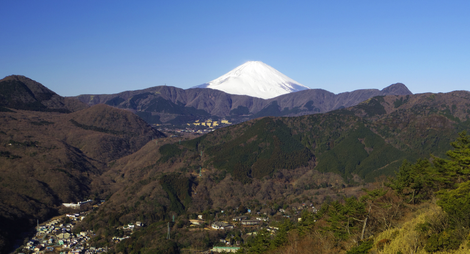 �������x�啶������̕x�m�R�@�@�@�@�@�@�@�@2015�N1��18���@9�F29