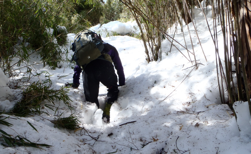 登り口から10分