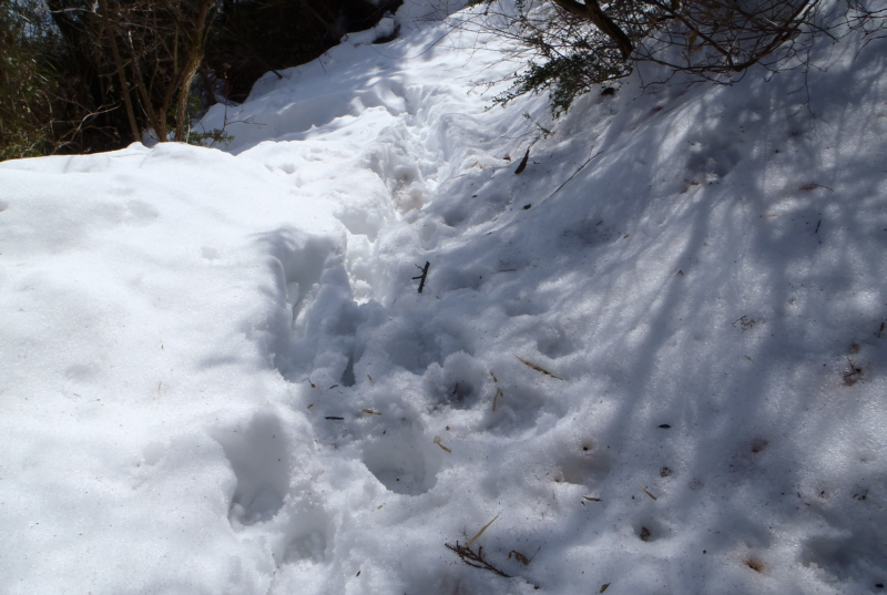 積雪はだんだん深くなります