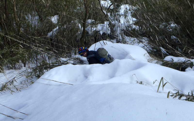 笹のトンネルを抜けた
