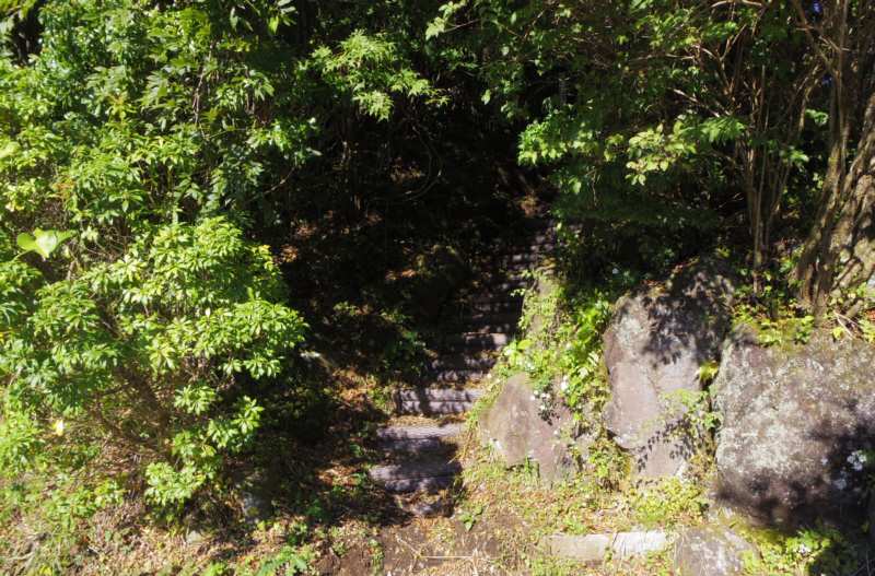 箱根芦ノ湖展望台公園への登り口