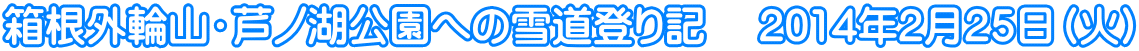 箱根外輪山・芦ノ湖公園への雪道登り記　 2014年2月25日（火）