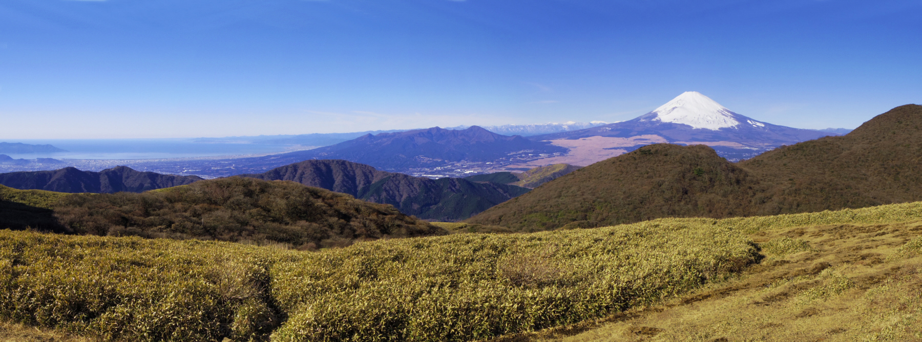 ������x�R������̕x�m�R