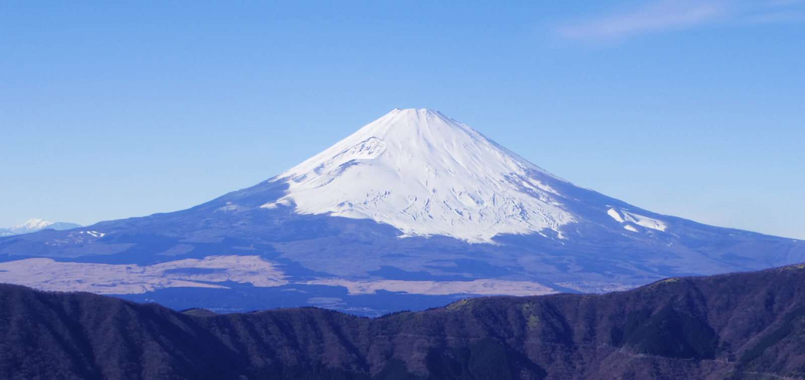 �����_�R-��O�J�Ԃ���̕x�m�R