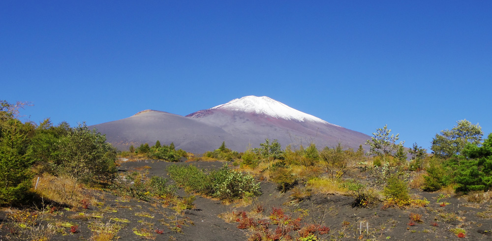 ��a����V�܍��ڃo�X�≡����̕x�m�R�ƕ�i�R