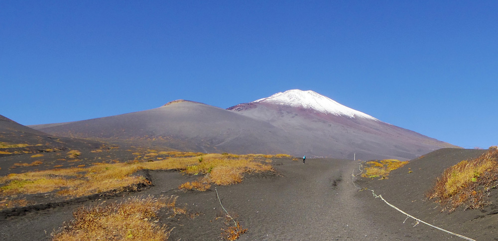 ��i�R�ƕx�m�R