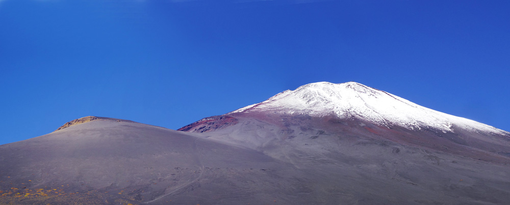 �x�m�R�ƕ�i�R