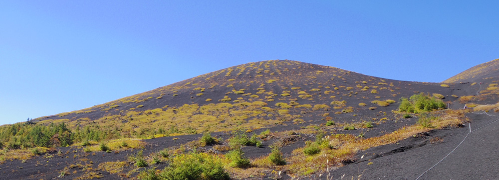 ��c�ˉ���