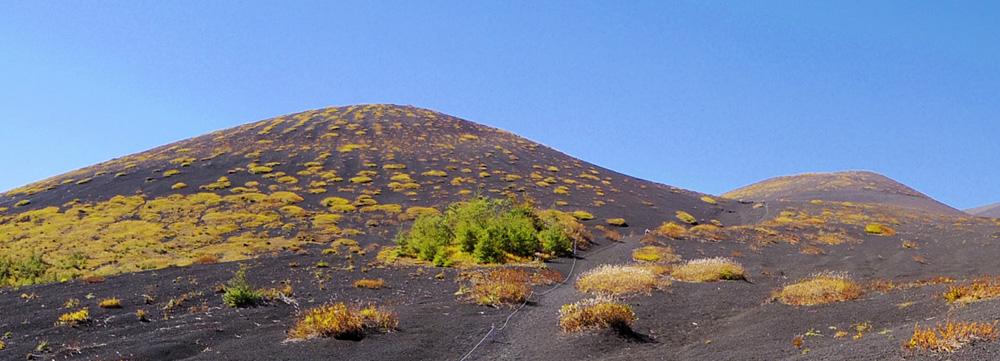 ��c�ˉ��˂Ɠ�c�ˏ��