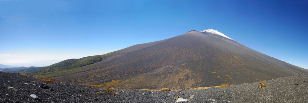 �x�m�R�ƕ�i�R