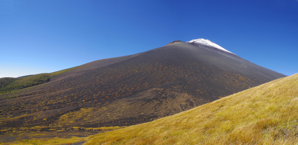 ��˂��牺��܂�