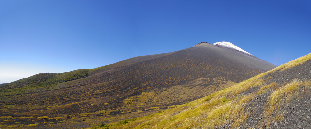 ���̂�����͂܂��΂̎��؂�����