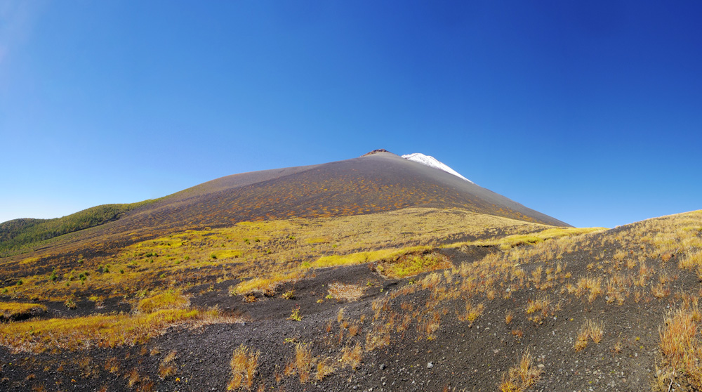 ��ˉ�����̕�i�R�ƕx�m�R