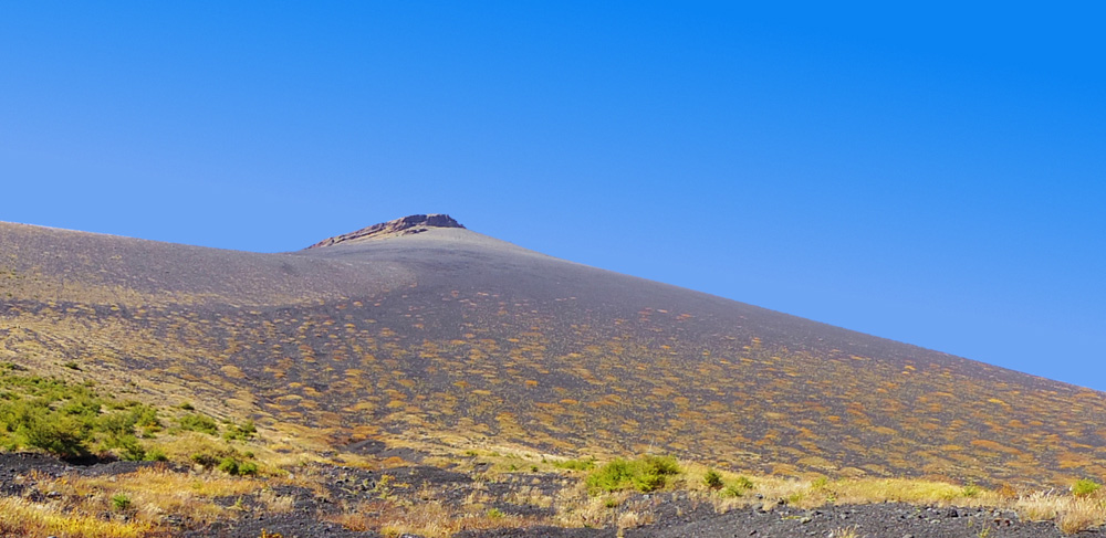 �O�ҕt�߂���̕�i�R