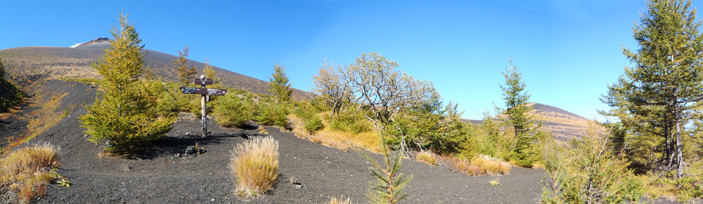 �O�ҁB�X�ь��E�̋��ځB