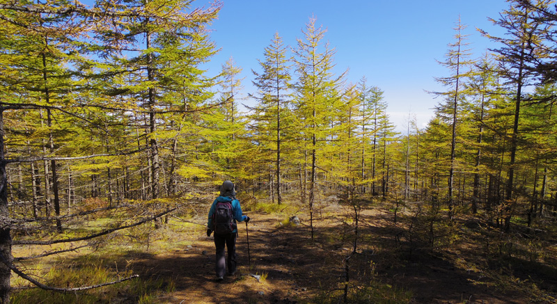 �J���}�c��