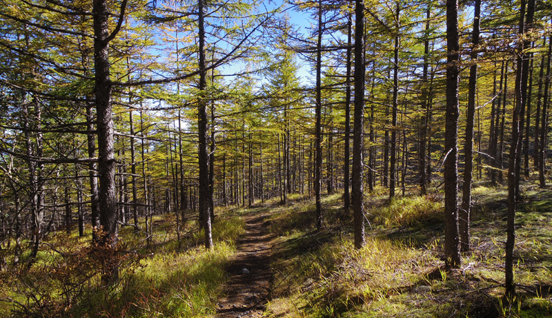 �J���}�c��