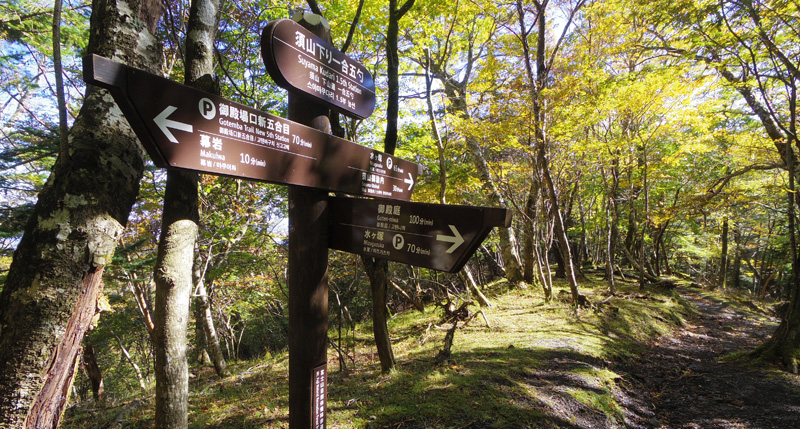 �{���艺��ꍇ�܎�