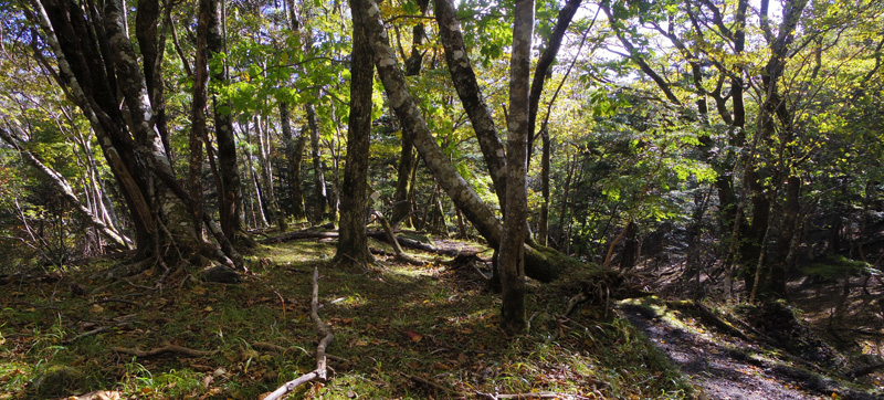 �����ŋx�e