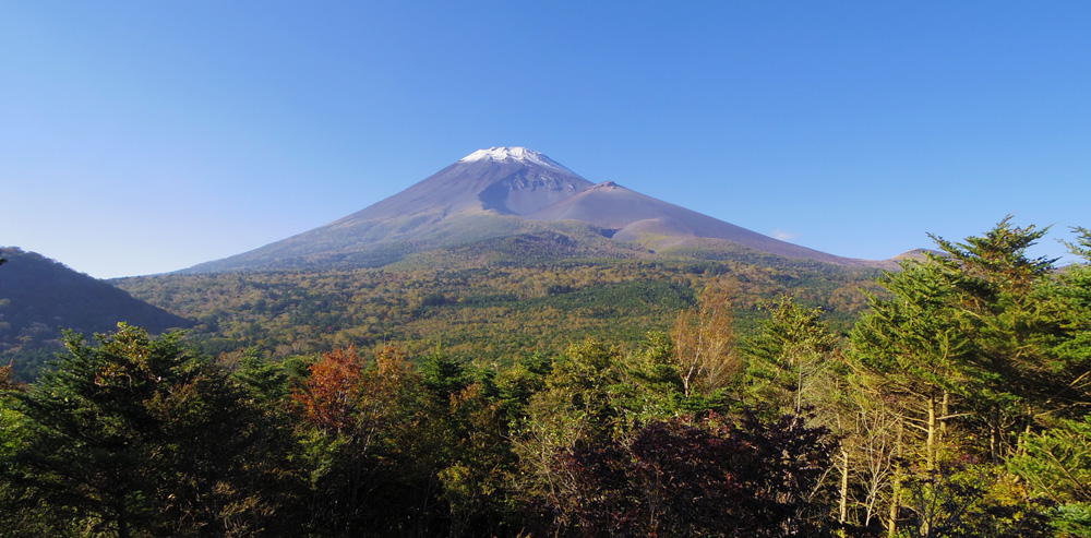 ���ؒ˓W�]�n����̕x�m�R