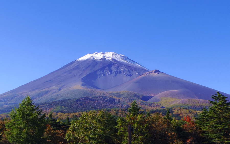 �����ˌ�������̕�i�R�ƕx�m�R