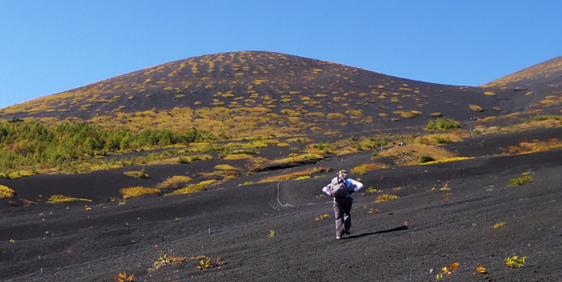 ��c�ˉ��˂Ƒ��_����