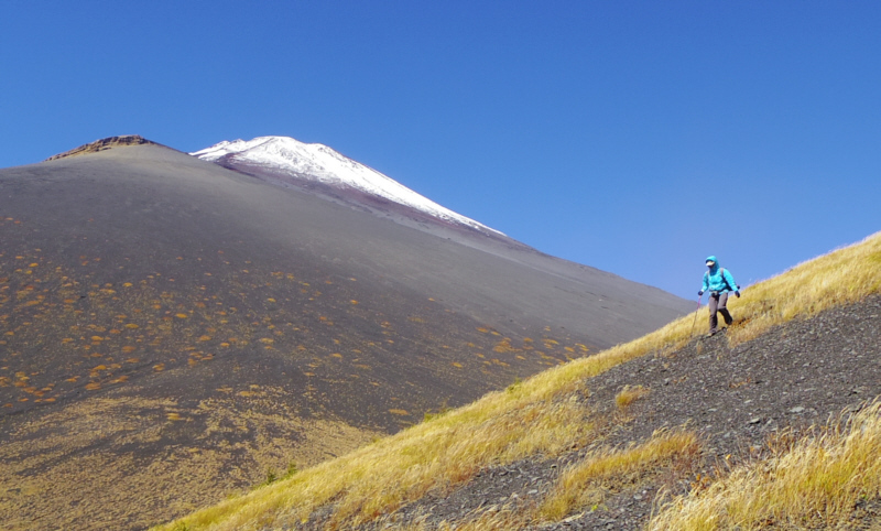 ��c�ˏ�˂�����鑊�_����