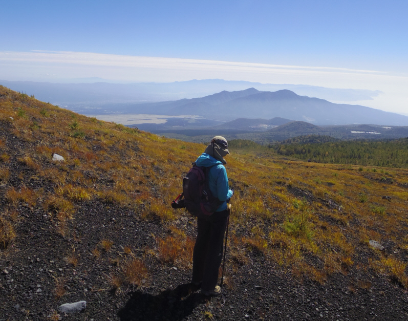 ��c�ˏ�ˉ��̑��_����