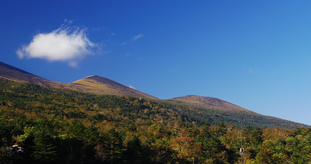 �����˒��ԏꂩ��̓�c��