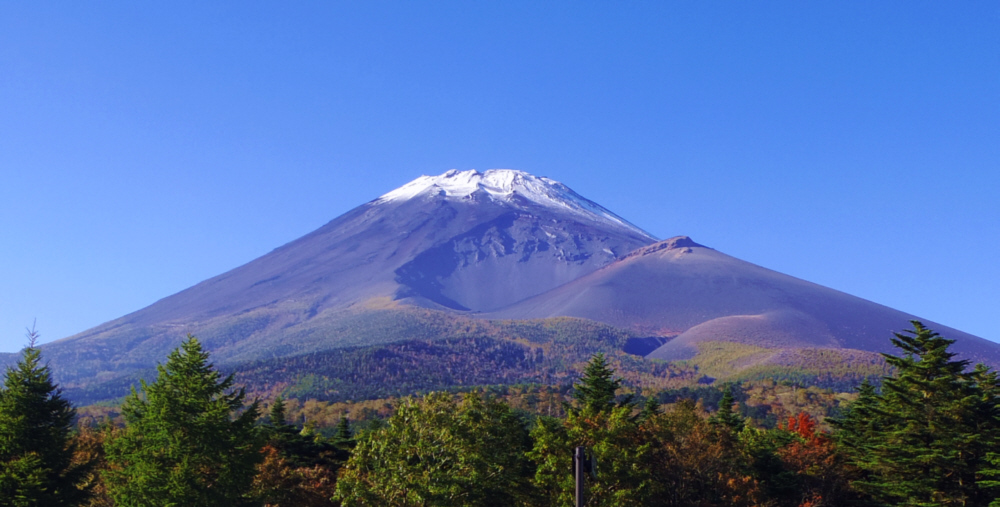 �����˂���̕x�m�R