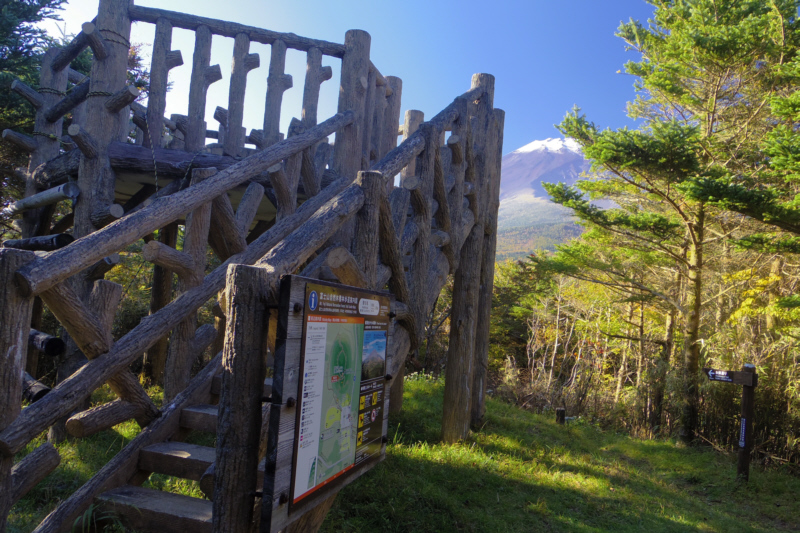 ���ؒ˓W�]��