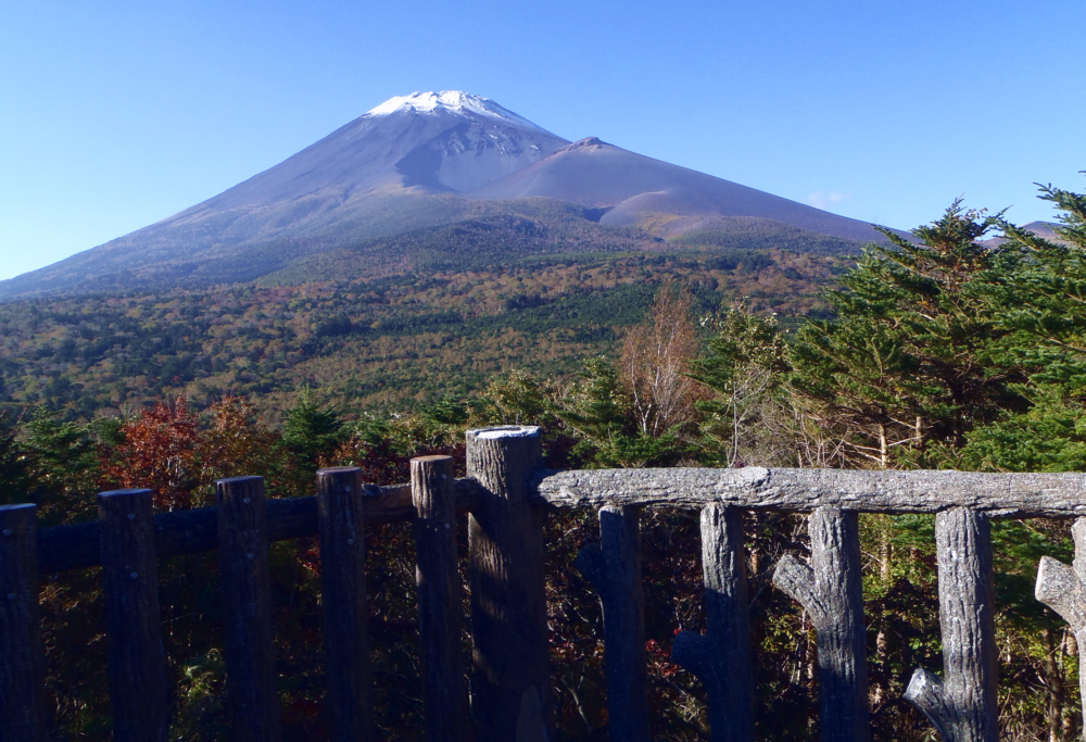 ���ؒ˓W�]�䂩��̕x�m�R