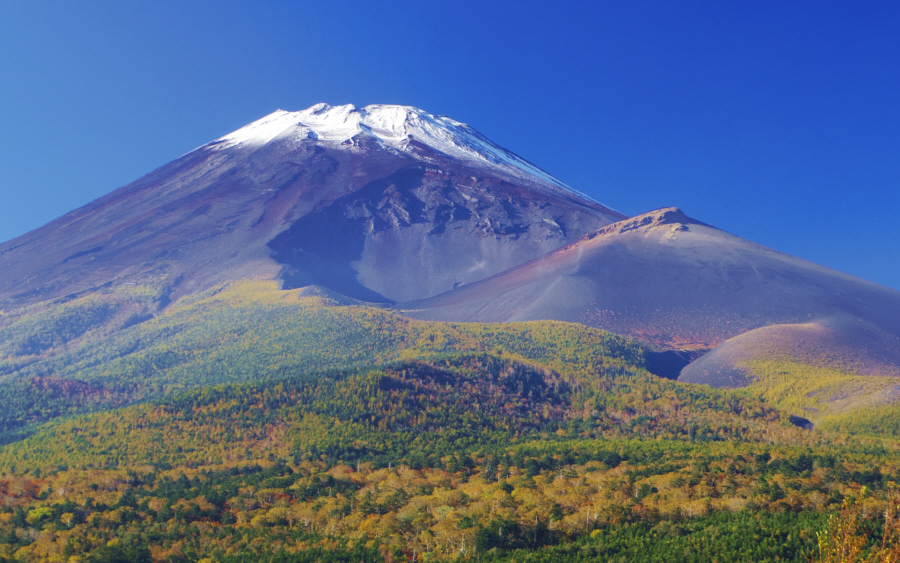 ���ؒ˓W�]�䂩��̕x�m�R