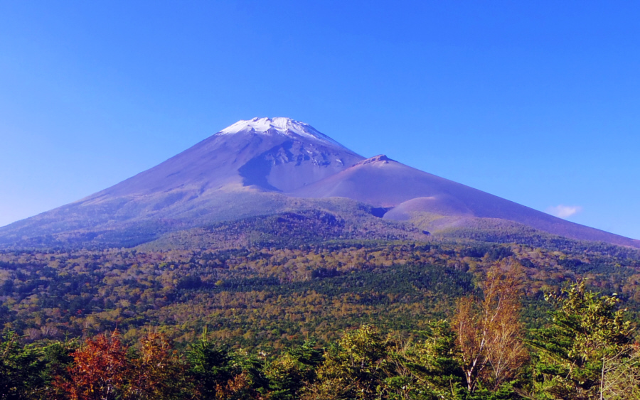 ���ؒ˓W�]�䂩��̕x�m�R