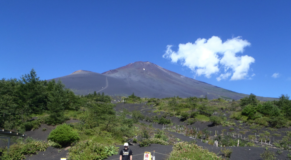 ��a����V�܍��ڃo�X�≡����̕x�m�R�ƕ�i�R