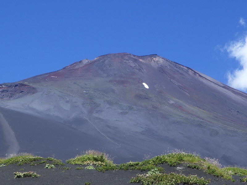 �x�m�R�R��