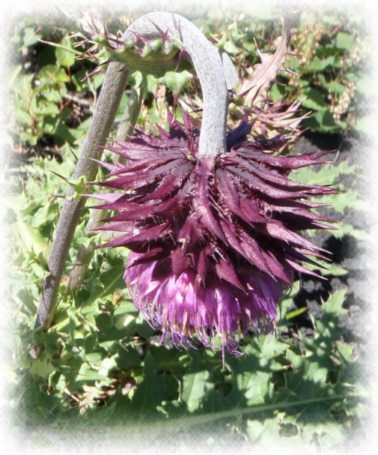 �t�W�A�U�~�B