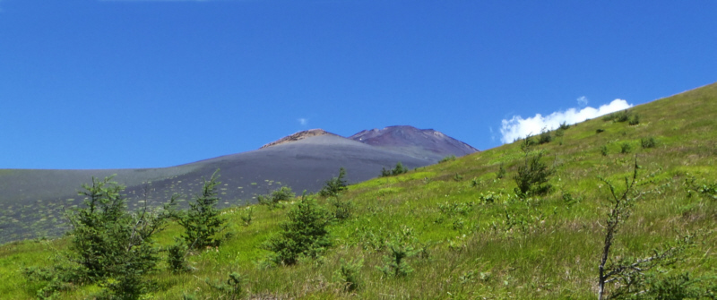 ��c�ˉ��ˁ`�l�҂���̕�i�R�ƕx�m�R