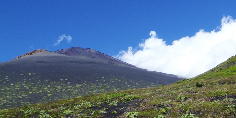 �l�ҁ`�O�҂���̕�i�R�ƕx�m�R