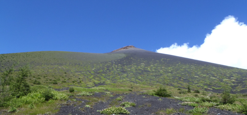 �l�ҁ`�O�҂���̕�i�R