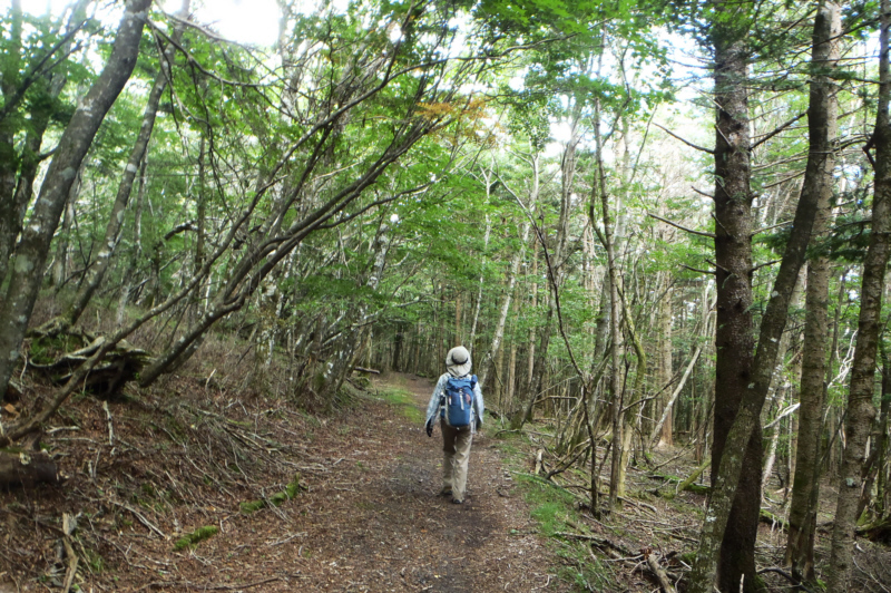 ����`��a��V�܍���