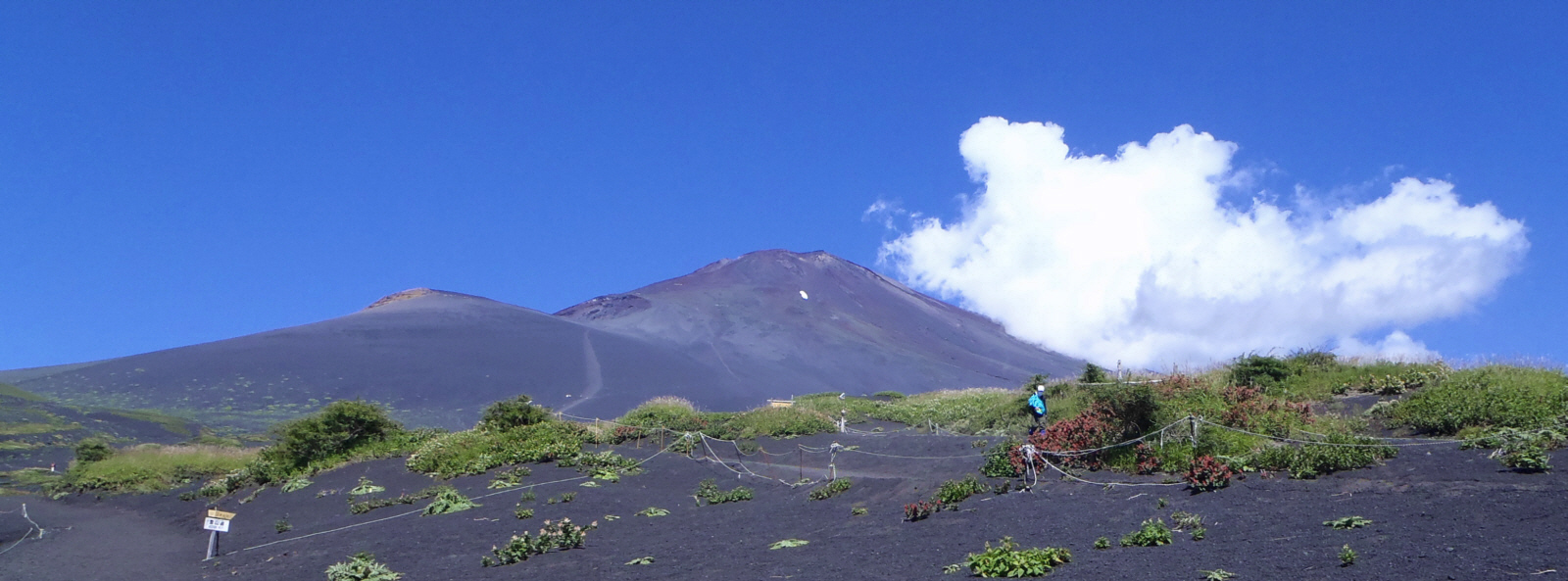 �x�m�R�ƕ�i�R