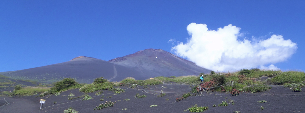 ��Β������o�ē�c�ˉ��˂�