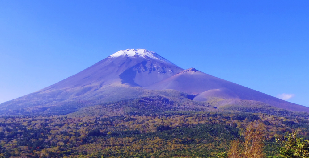 ���ؒ˓W�]�䂩��̕x�m�R