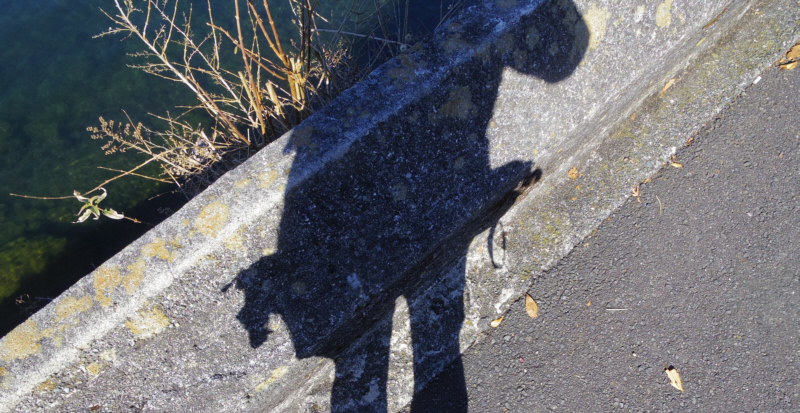 芦ノ湖へ向けて下りていきます