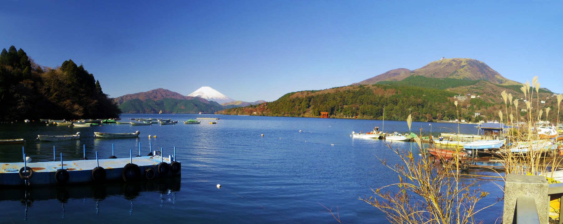 ���m�΂̌������`����̕x�m�R